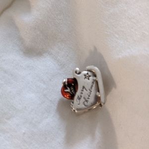 Pandora to sleigh charm